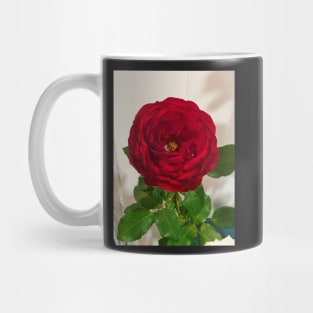 Red Rose Mug